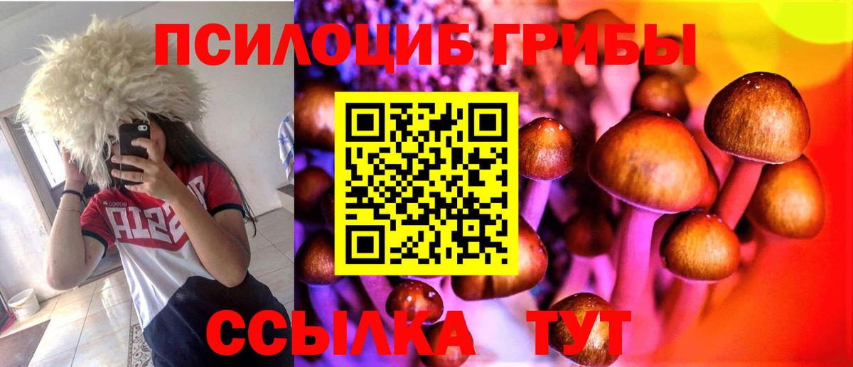 Ревда  Псилоцибиновые грибы Psilocybe  Вход с VPN  Галлюциногенные грибы Psilocybe 