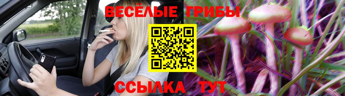 Псилоцибиновые грибы Psilocybine cubensis Ревда